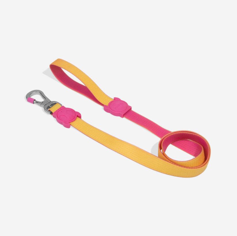 NEOPRO LYRA