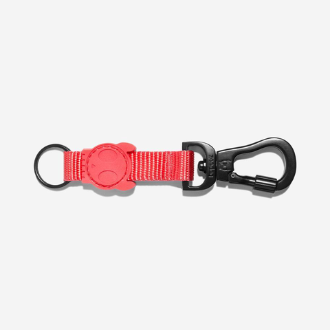 NEON CORAL