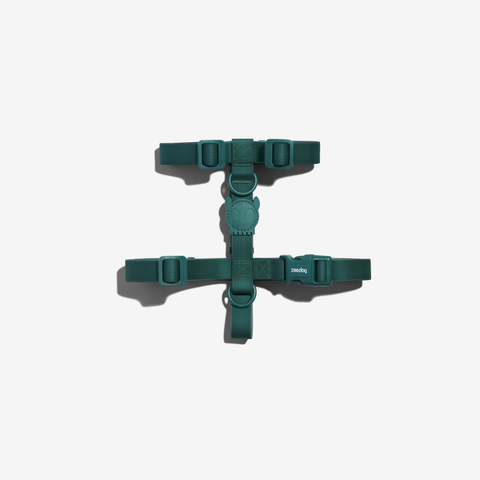 NEOPRO AMAZONIA