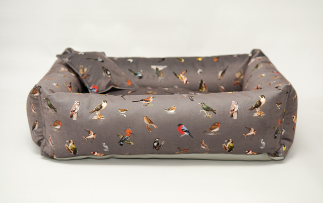 Birds