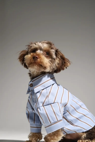 Голубая